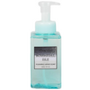 BLFW24023 Premium 450ml Foaming Hand Soap in Eco-Conscious Bottle