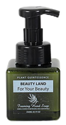 BLFW24006 Compact 250ml Foaming Hand Soap in Portable Green Bottle