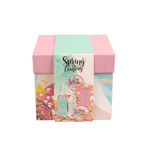 BLSC26009 Complete Head-to-Toe Spa Collection Face Oil Body Scrub Body Butter Body Wash Body Mist with Mesh Loofah